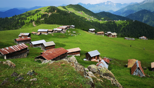 Pokut Sal Yaylası Zilkale Turu